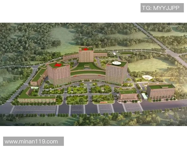 西安攀岩队的训练节奏与发展动态深度解析