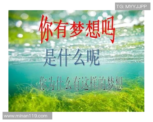 乒乓球赛场上的奋斗与梦想：吴静的深度人生对话探索